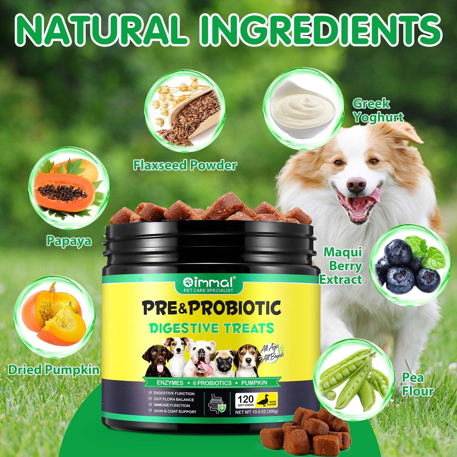 Probiotics for Dogs - 120 Chewable Pre Probiotic Digestive Chews for Dog, Support Gut Health, Itchy Skin Relief and Seasonal Allergies, Dog Supplement Soft Chews, Pet Supplement for Dogs - Duck Flavor