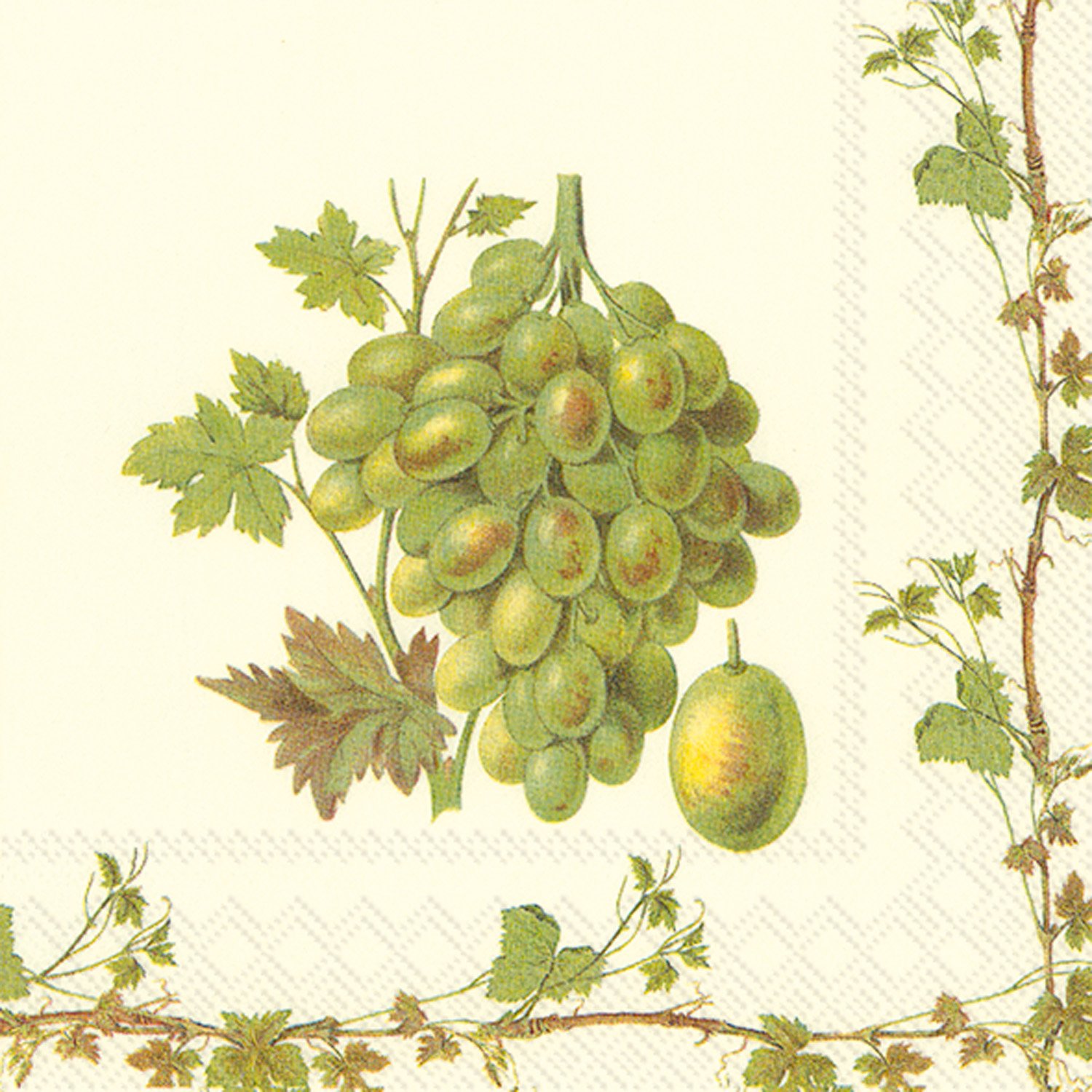Ideal Home Range 20 Count Grape Harvest White Paper Cocktail Napkins