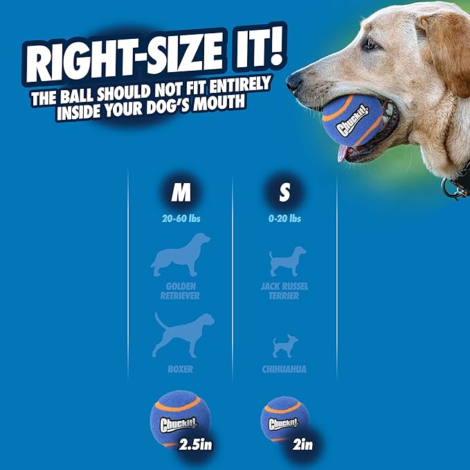 Chuckit! Pelota de Tenis con Chicharra para Perro, Grande (3 Pulgadas), Paquete de 2 miniatura 4