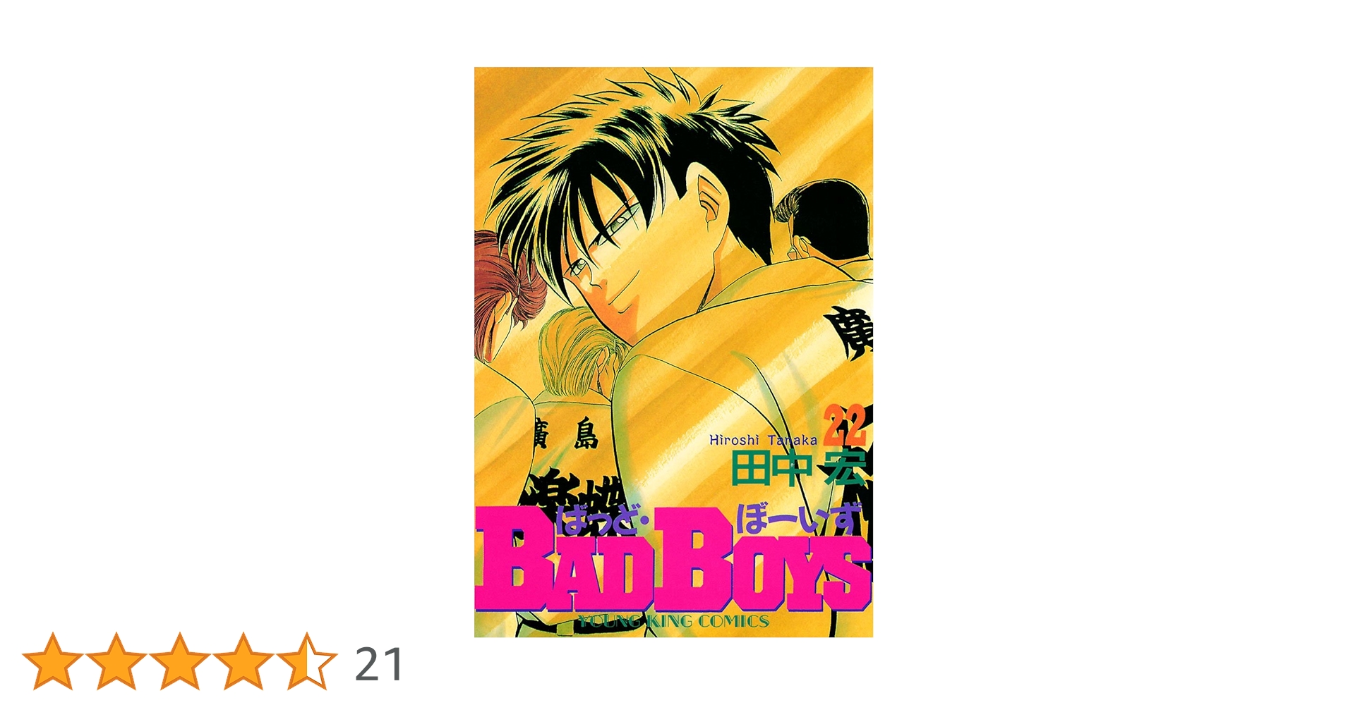 BADBOYS 新書版　全22巻　田中宏 BAD BOYS 全22巻完結(ヤングキングコミックス) [マーケット