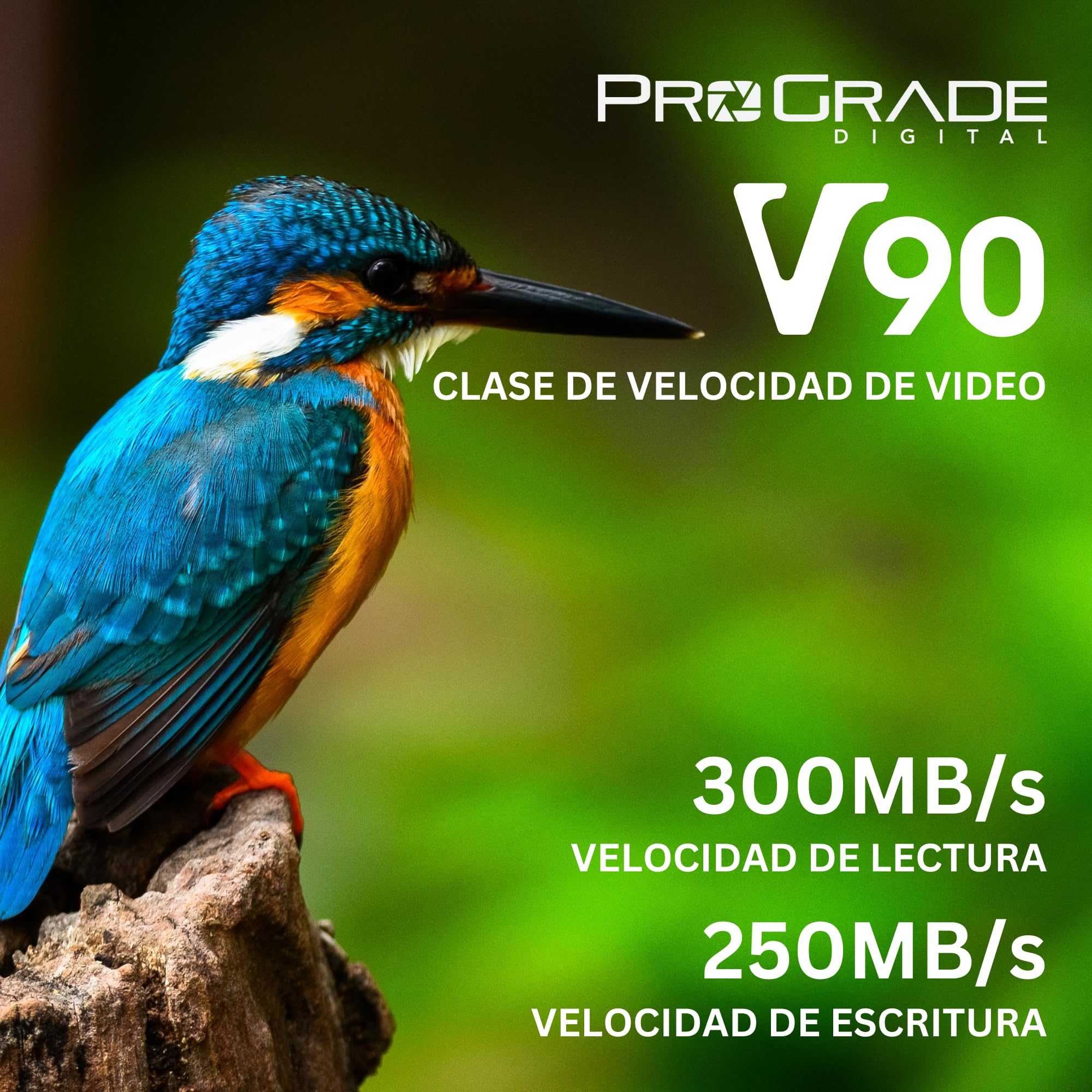 Tarjeta de Memoria ProGrade Digital SDXC UHS-II V90 300R (512GB)