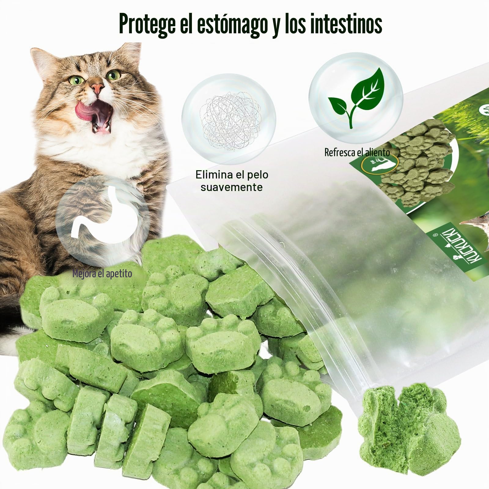 Golosina de Hierba Gatera para Gatos, 50g Snack Liofilizado con Hierba Gatera para Limpiar los Dientes