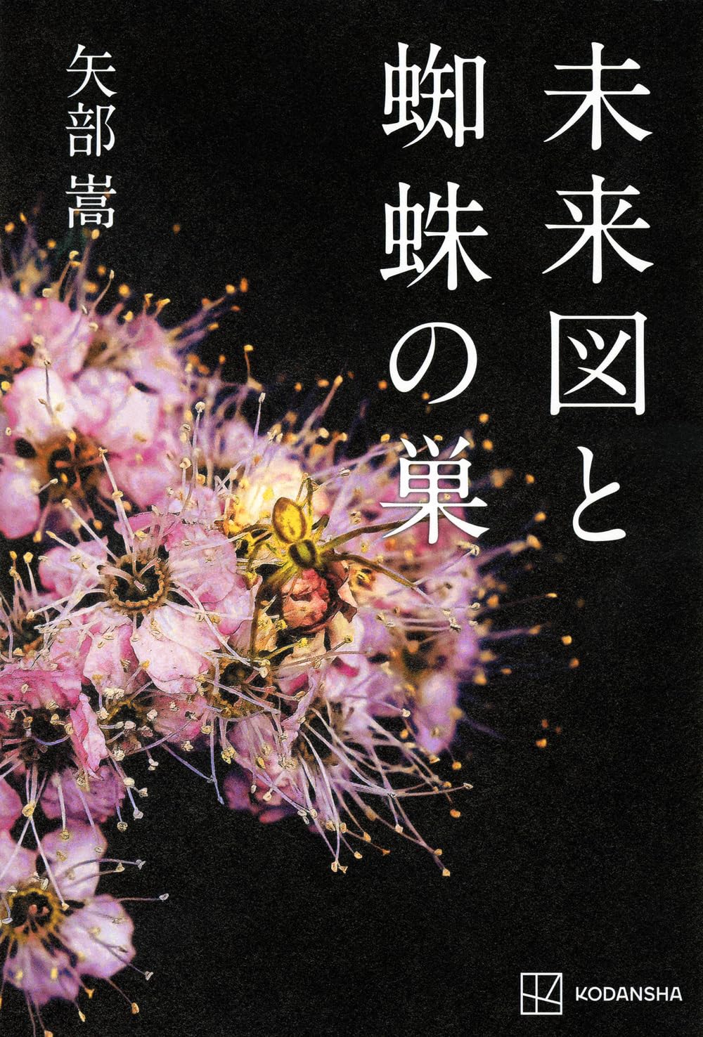 Amazon.co.jp: 未来図と蜘蛛の巣 : 矢部 嵩: 本