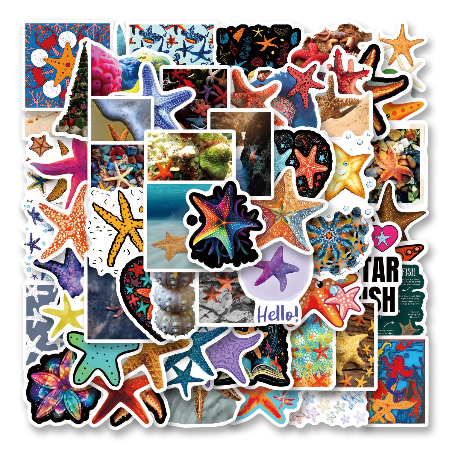 62Pcs Starfish Stickers Pack, Aesthetic Vinyl Waterproof Sticker Decals for Water Bottle,Laptop,Phone,Skateboard,Scrapbooking,Bumper for Party Supply