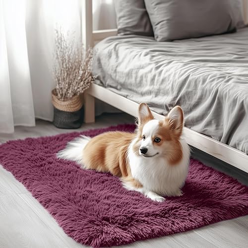 OLANLY 2x3 Machine Washable Small Bedside Rug, Soft Fluffy Shaggy