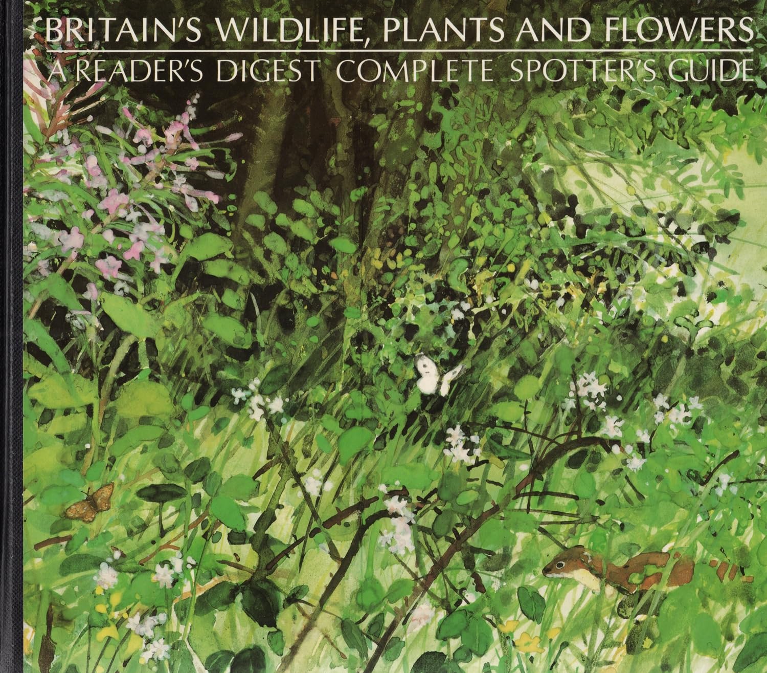 Britain's Wildlife, Plants and Flowers
