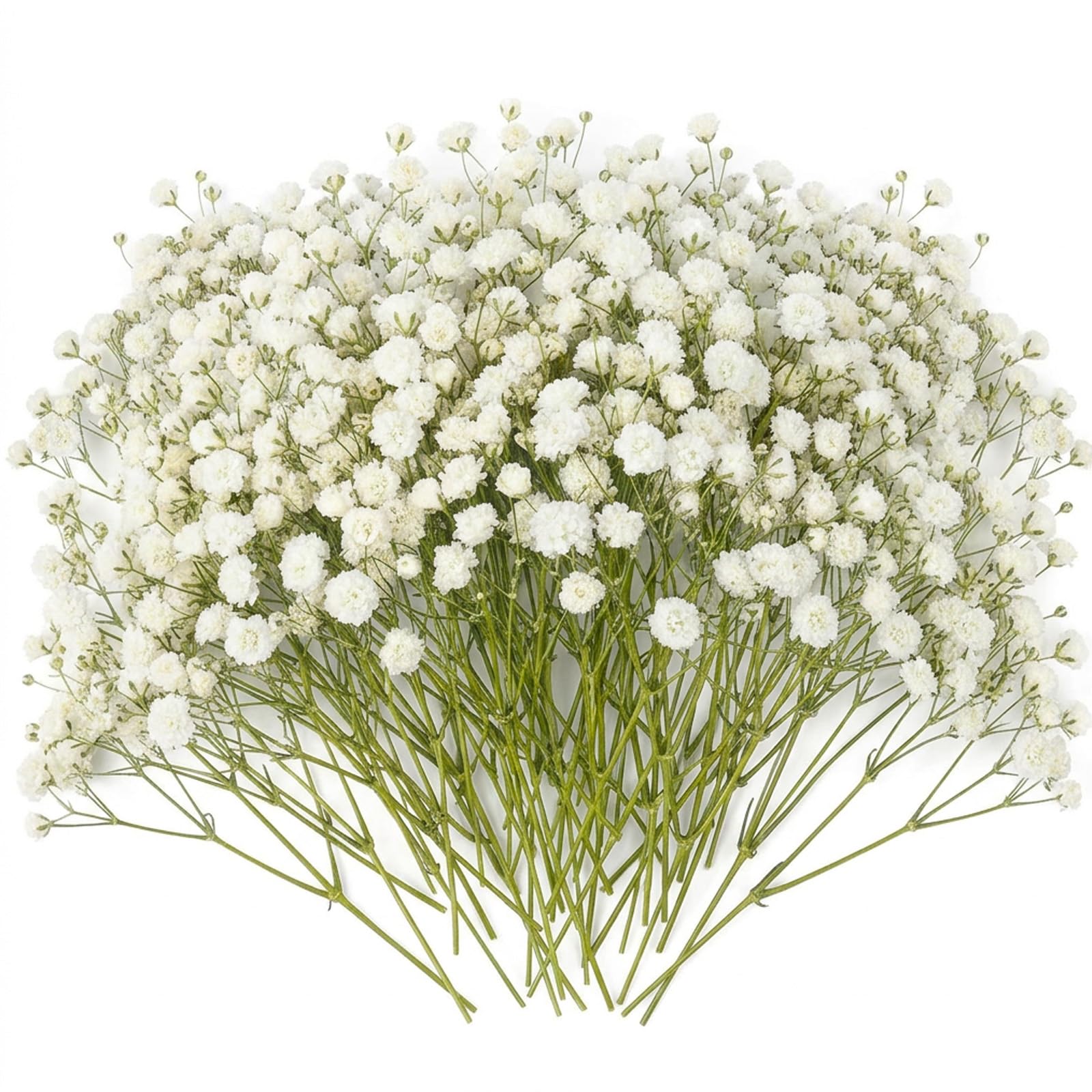 80 Pcs Gypsophila Artificial Flowers,Dried Flowers for Crafts,White Baby Breath Flower Artificial for Vase Flower Arrangement,Craft DIY,Wedding Decorations,Invitation Cards,Home,Table Centerpieces