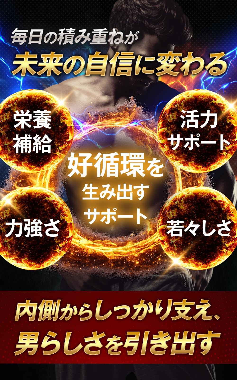 2400粒❣️一箱のみ❣️ 金粒 Amazon.co.jp: 金蛇精ZZZ 明治薬品 120粒 30日分 栄養補助食品 メンズ