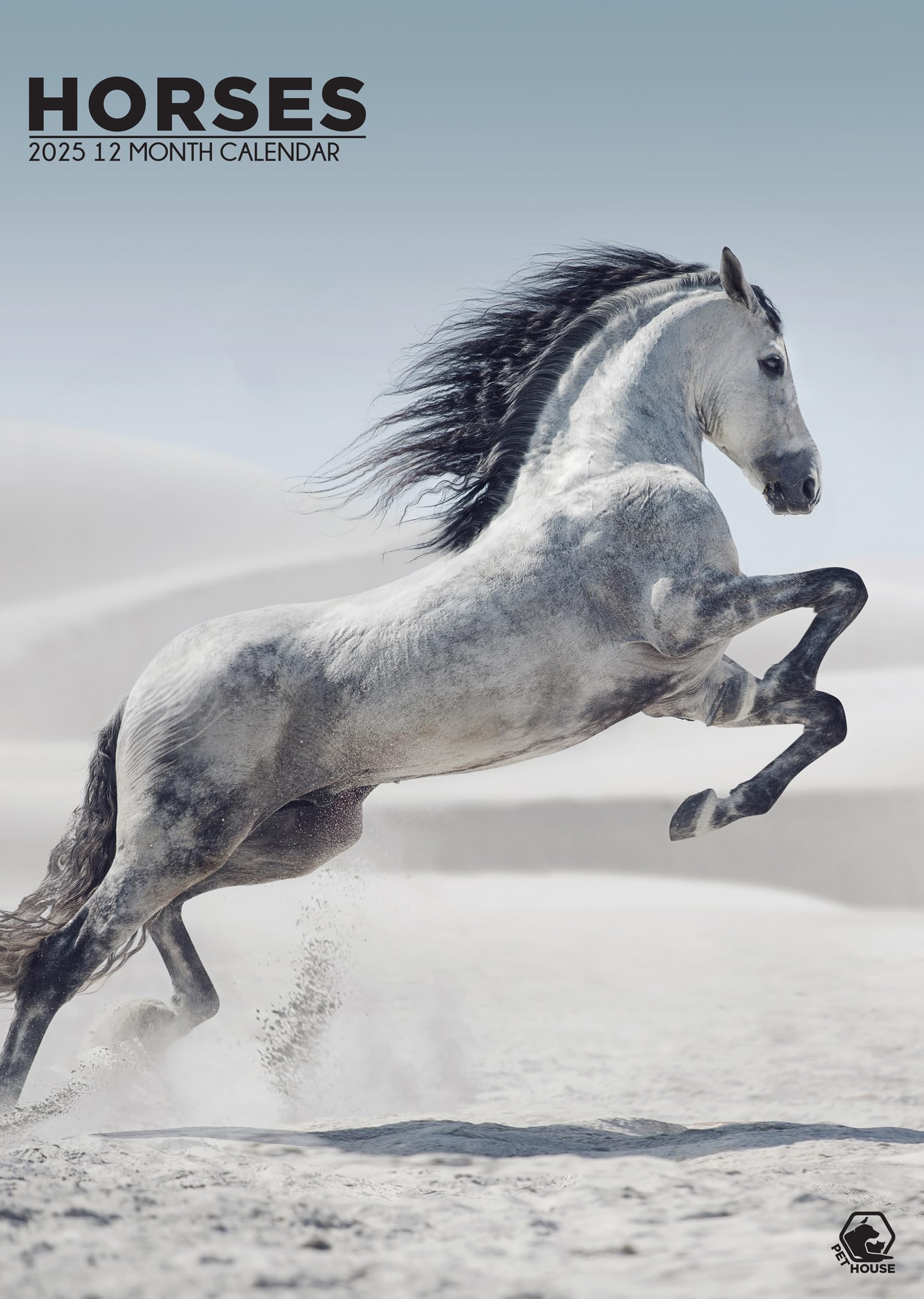 Horses 2025 - A3 Size Wirobound Calendar