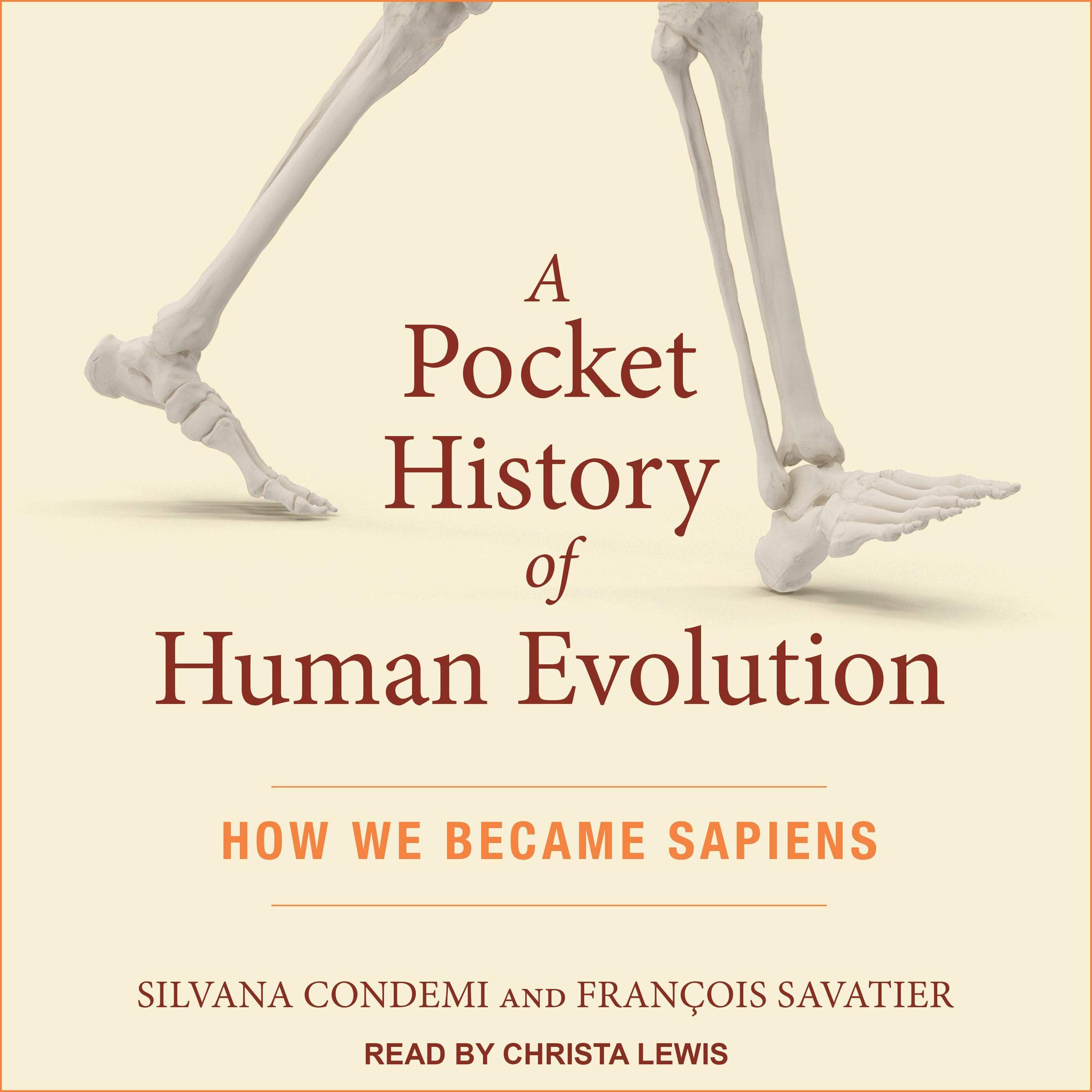 Cover art for A Pocket History of Human Evolution