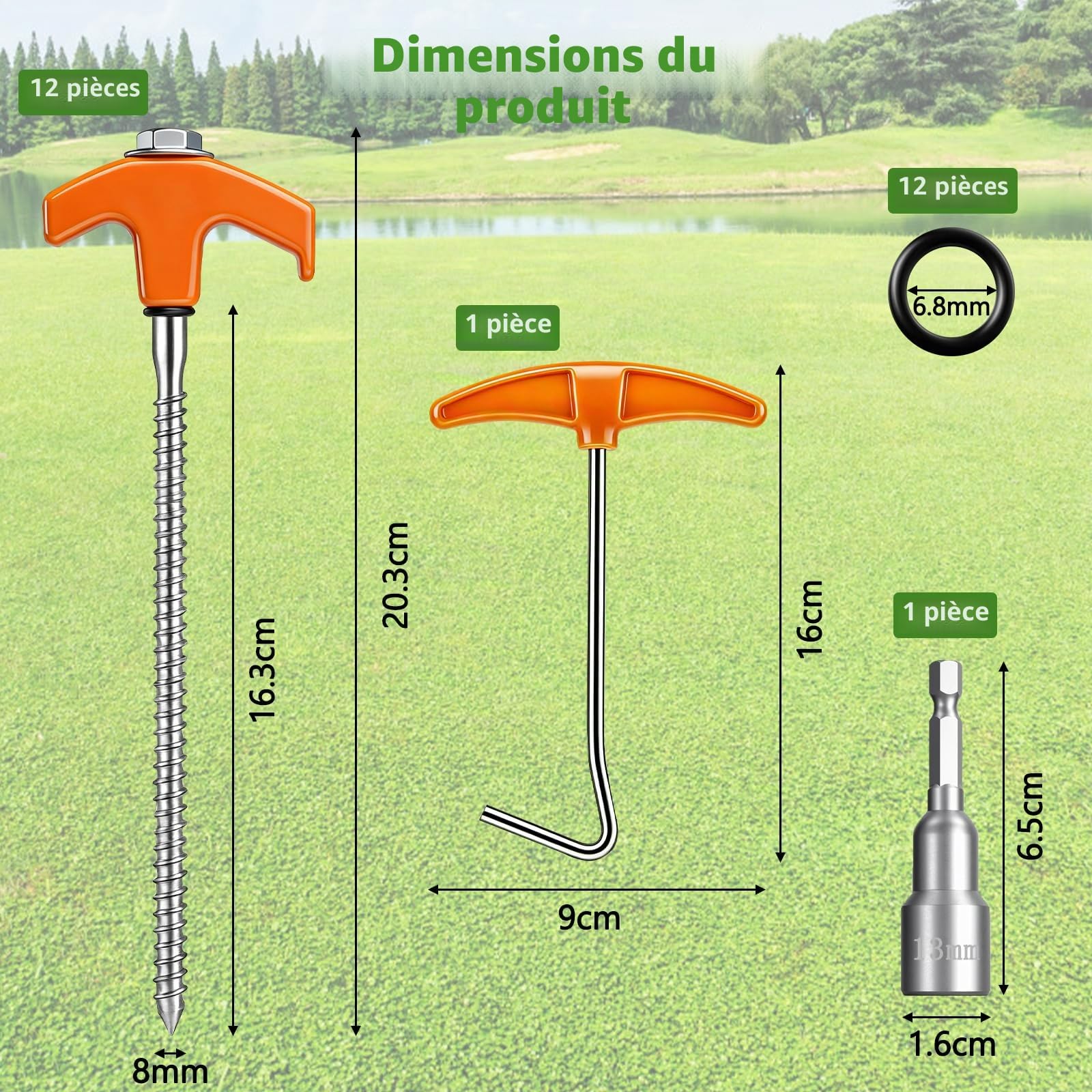 Lot de 12 Piquet de Tente à Visser,Sardines de Fixation Tente en Acie,Piquet Ancrage avec Filetage, Douille Hexagonale et Extracteur pour Bâche, Auvent, Camping et Randonnée