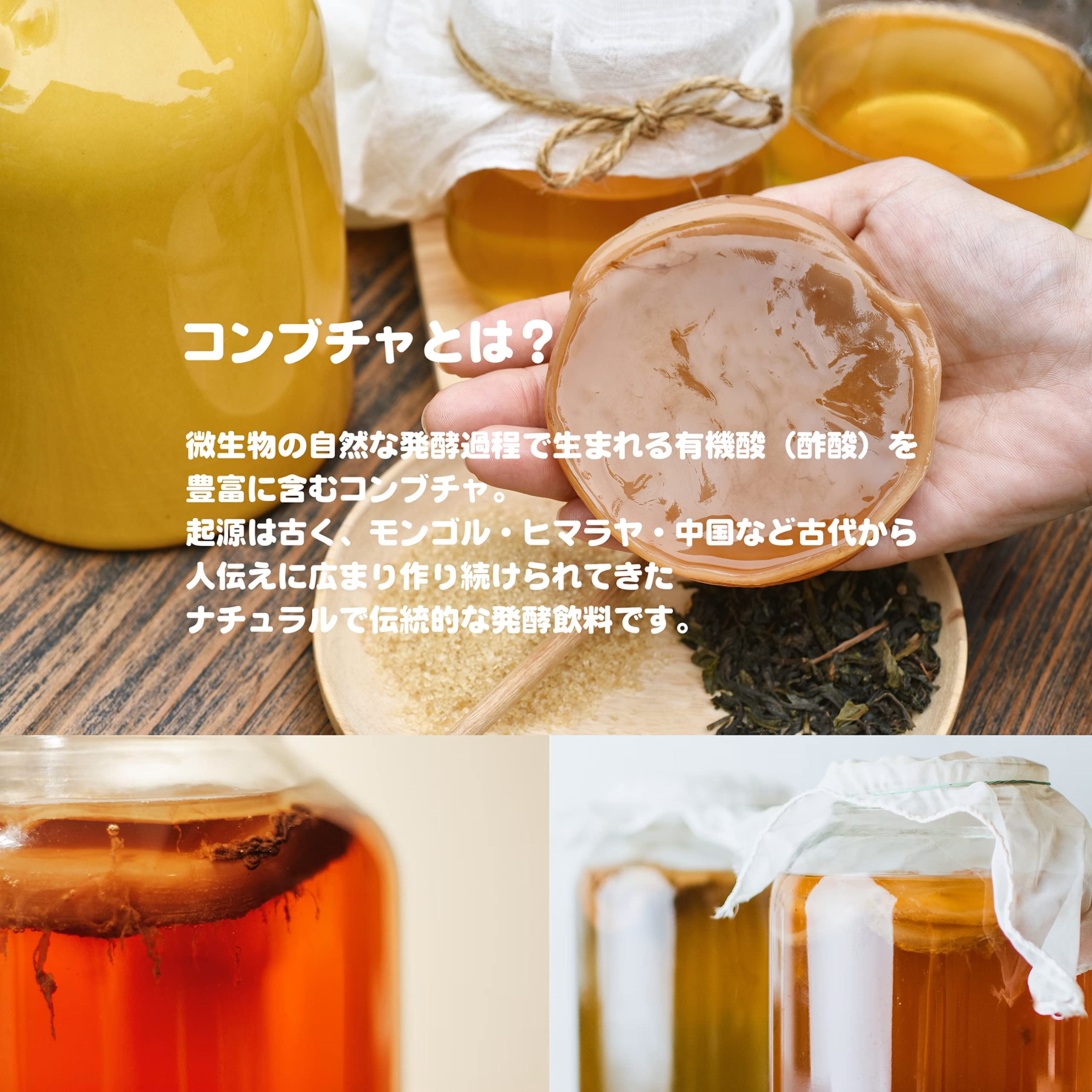 Amazon.co.jp: 国産 コンブチャ スターターキット2個セット［伊勢志摩