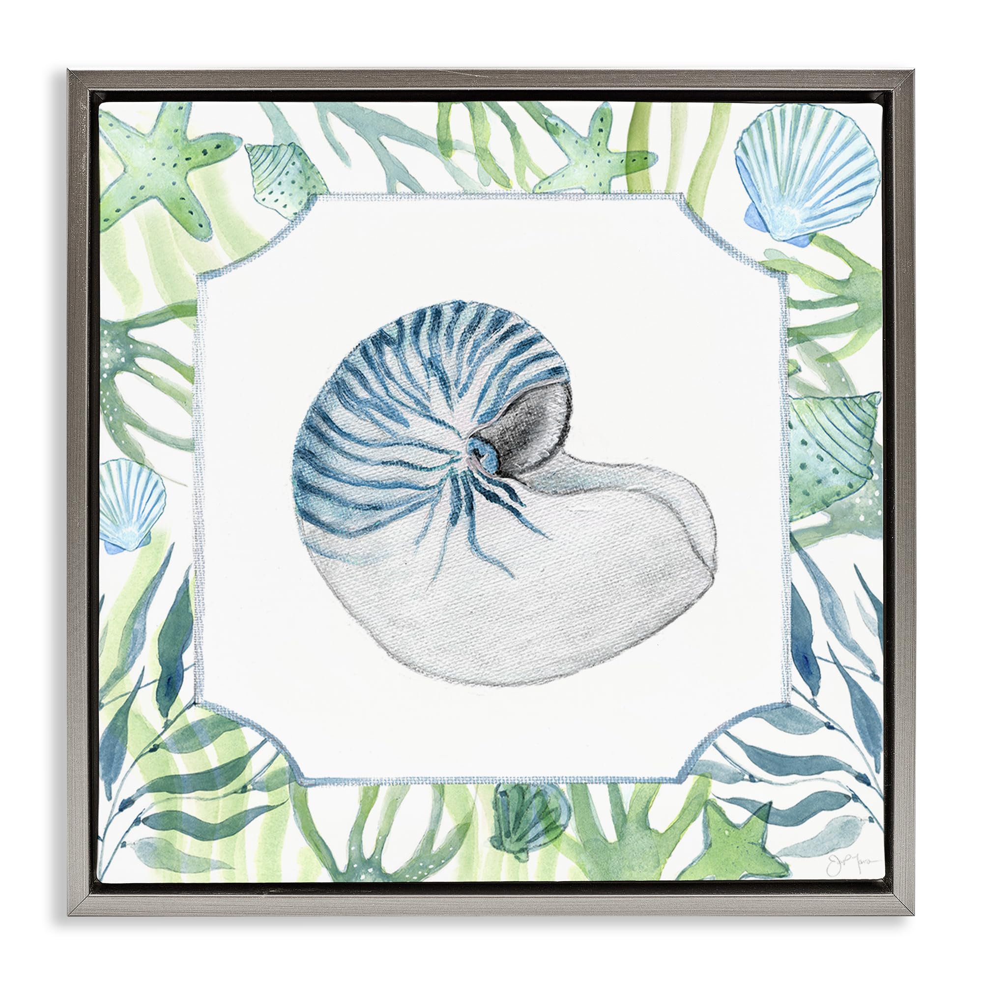 Stupell Industries 'Seaweed & Seashells Aquatic', Floating Frame Canvas Art, Gray, 18 x 18 Inches, Easy to Hang and Sturdy, Made in USA, by Janet Tava