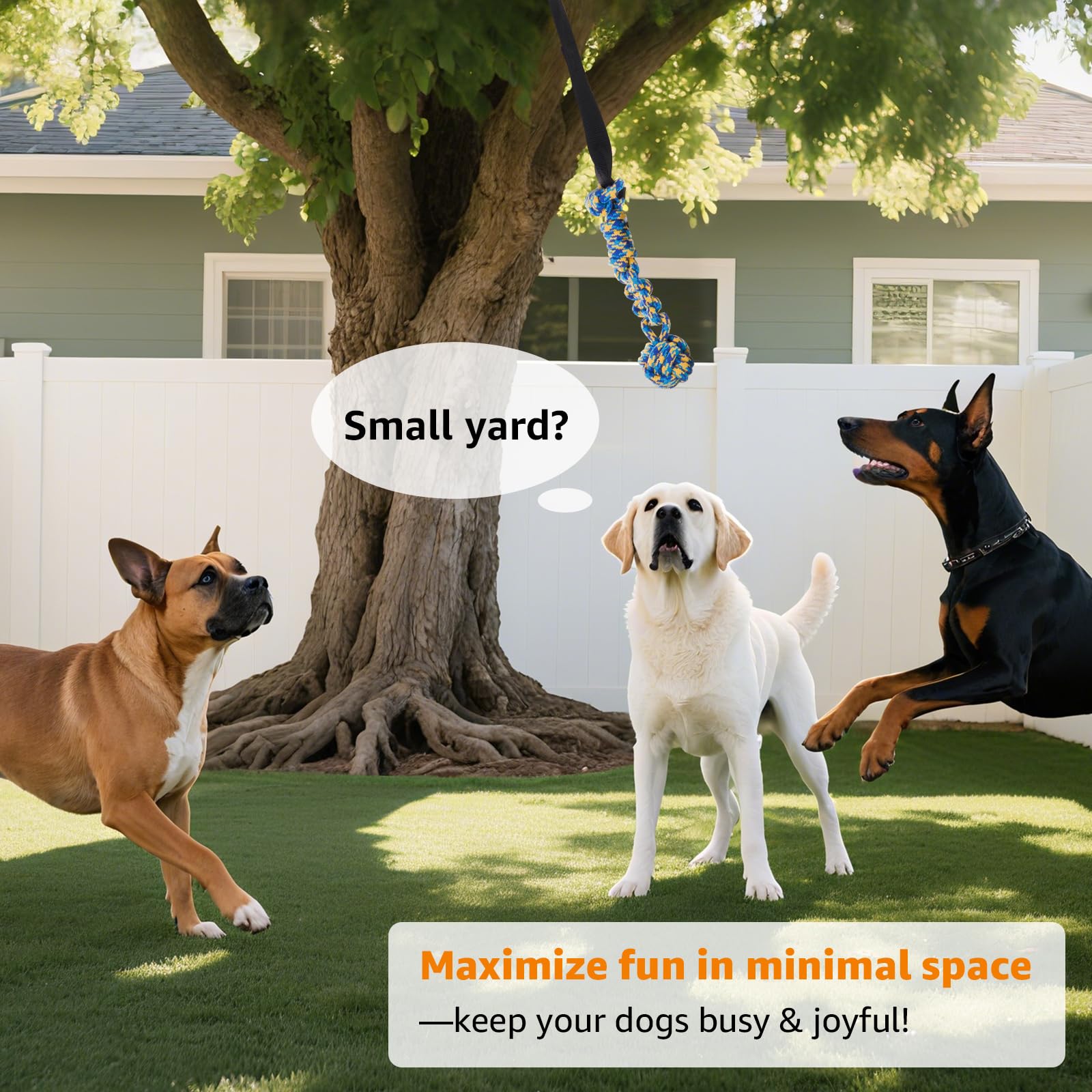 LOOBANI Juguete elástico para Exteriores, Juguete para Perros Colgantes del árbol para Perros pequeños a Grandes, Cuerda de Juego interactiva y Correa con Cuerda para Masticar (Negro)