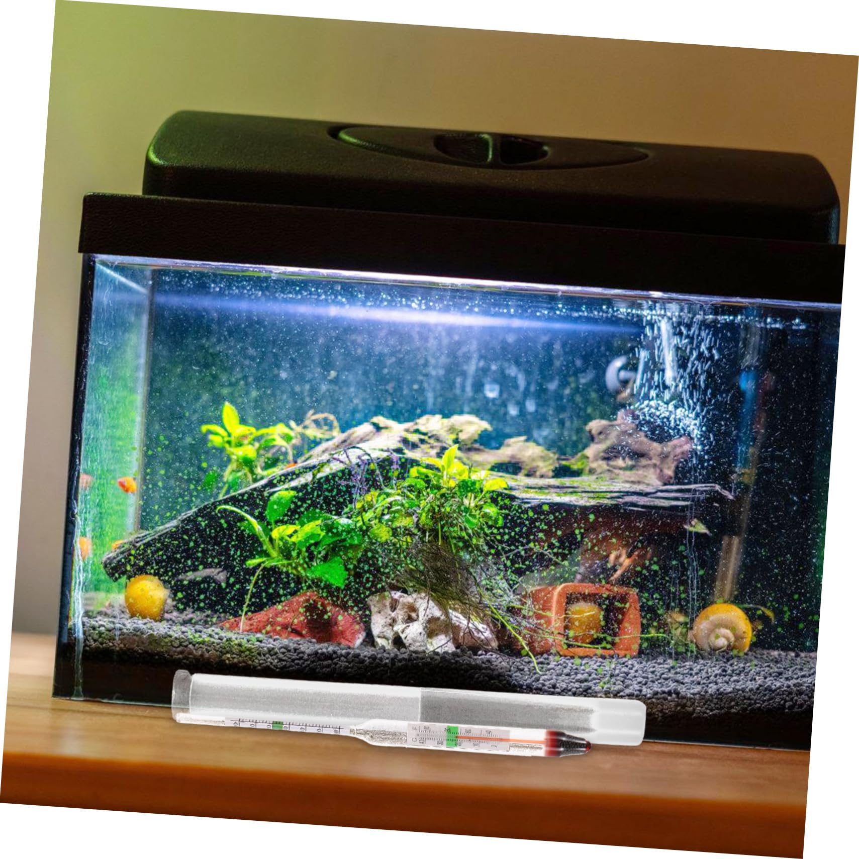 POPETPOP 4 Set di Misuratore di Densità per Acquario di Acqua Marina Idrometro per Acquario Idrometro per Acquario Marino Idrometro per Acquario Tester per Acquario Sale Plastica