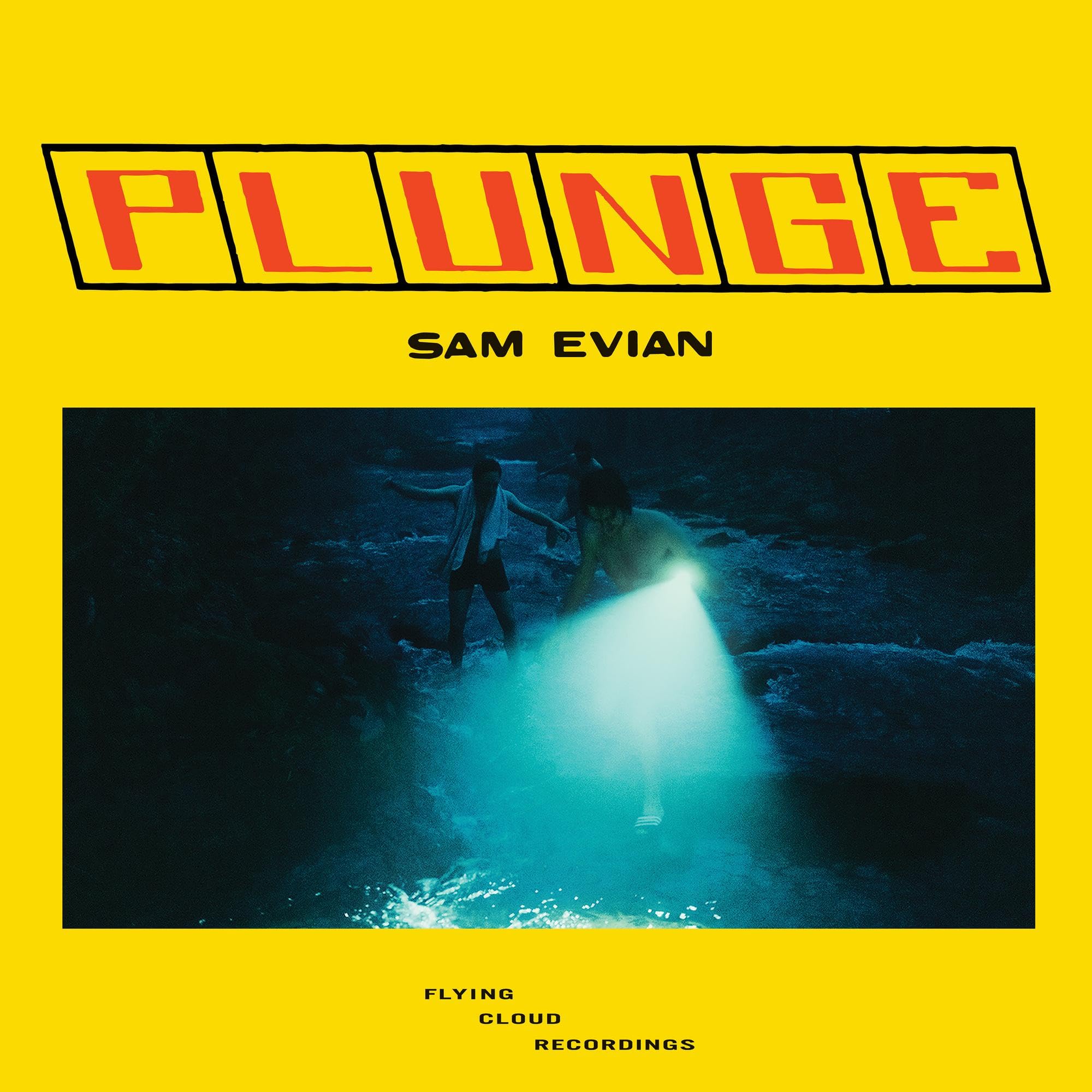 Plunge [VINYL]