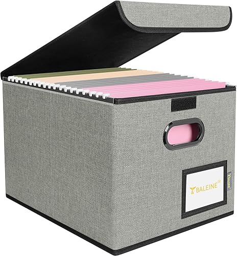 BALEINE - Caja organizadora de archivos con tapa, organizador de carpetas plegable con riel de plástico, caja para carpetas colgantes para Gris