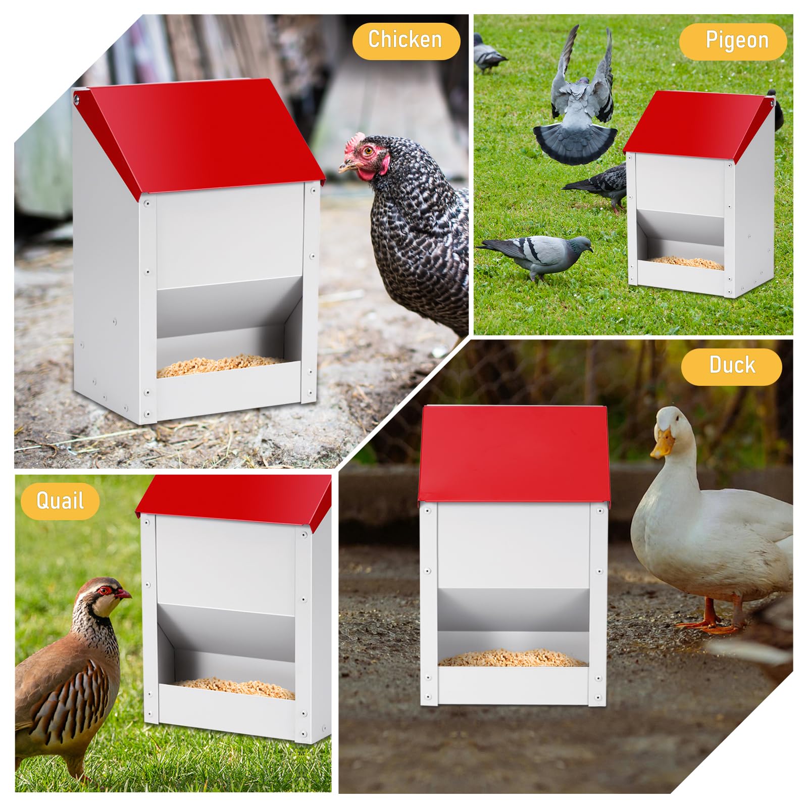 Automatic Chicken Feeder 10lbs Metal Chicken Feeder No Waste Wall Mounted Poultry Feeder Trough with Scoop for Chickens Ducks Quail Geese Pet - image 8