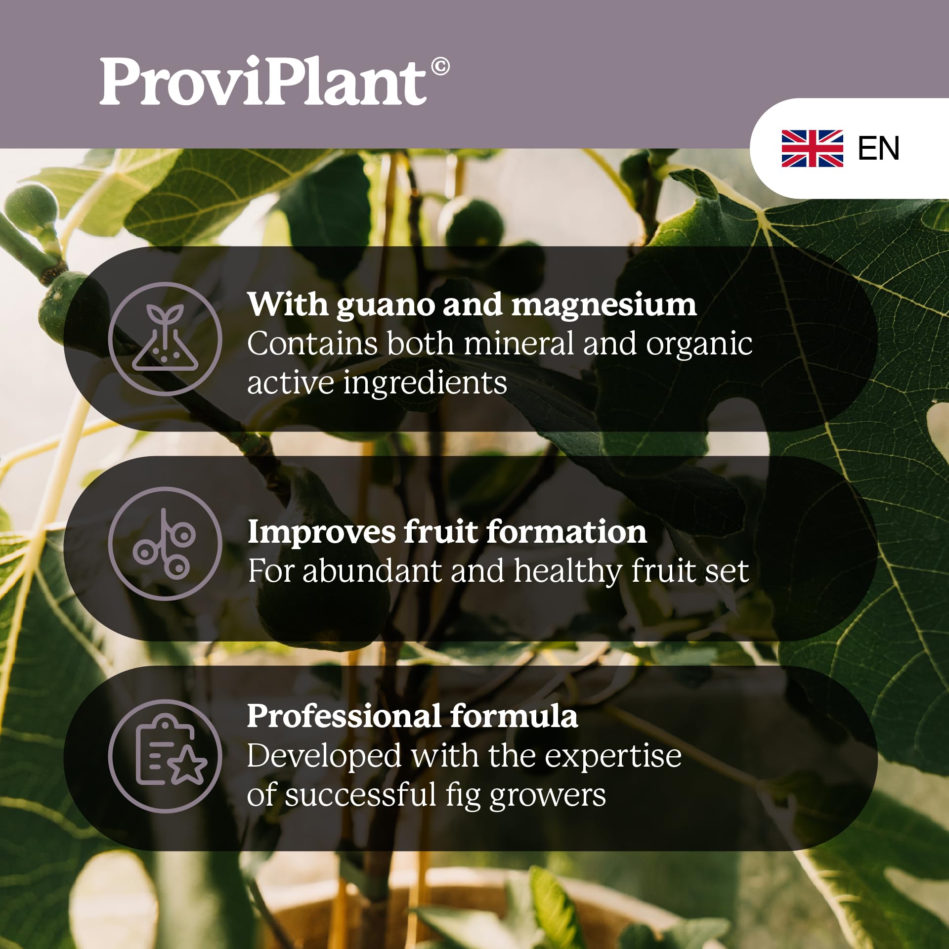 Fichi fertilizzante – 1 litro di fertilizzante speciale specie di fichi (Ficus) ed erbe per interni ed esterni di qualità professionale – Alta efficienza – 200 litri di acqua – Made in
