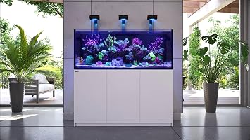 Red Sea Reef Foundation A (Ca/Sr) Supplement, 1000ml - Calcium & Strontium Additive for Healthy Coral Growth in Marine & Reef Aquariums
