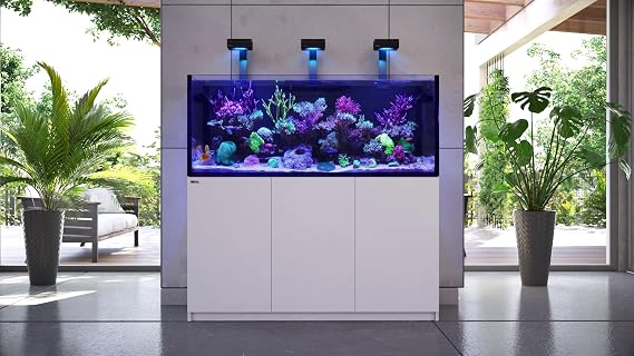 Red Sea Reef Foundation A (Ca/Sr) Supplement, 1000ml - Calcium & Strontium Additive for Healthy Coral Growth in Marine & Reef Aquariums