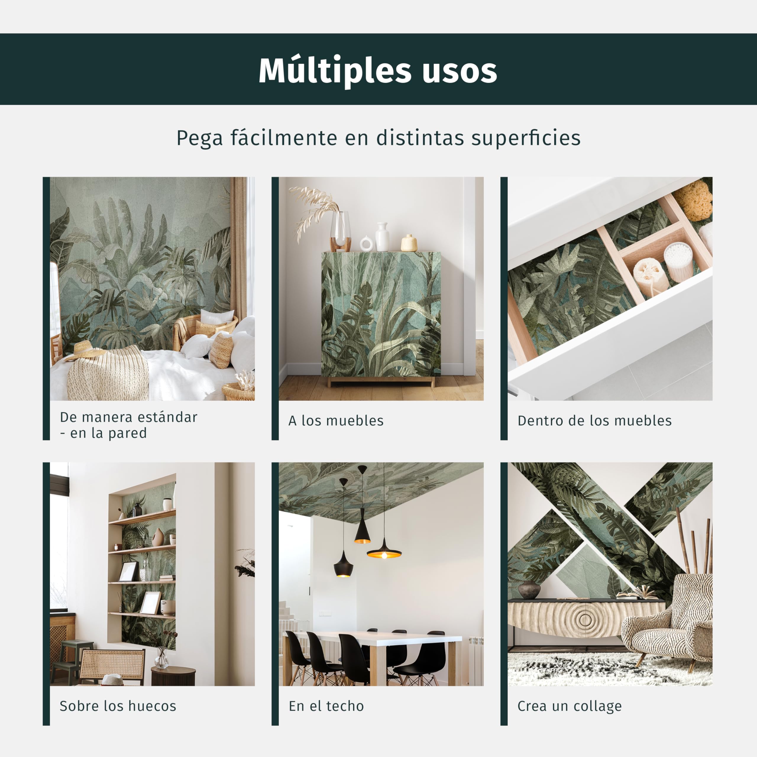 murando Fotomurales Autoadhesivo Bosque 392x280 cm Papel Pintado Decoración | Pared Murales Pegatina decorativos adhesivos moderna de Diseno Fotográfico Arbol Naturaleza Paisaje Gris