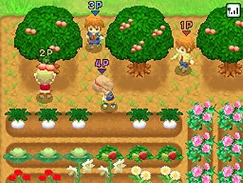 Amazon 牧場物語 ふたごの村 特典無し ゲーム