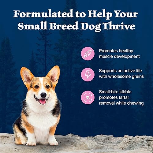 Miniatura 4 de Blue Buffalo Wilderness Alimento seco natural para perros adultos con alto contenido de proteínas y granos saludables, bolsa de 13 libras