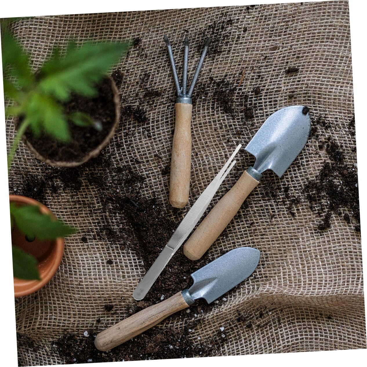 Toddmomy 10stücke Gartenpinzetten Mit Komfortablem Griff Edelstahl-pinzette Für Bonsai Pflanzenpflege Und Naturerkundung Für Gartenarbeiten Umpflanzen Von Pflanzen