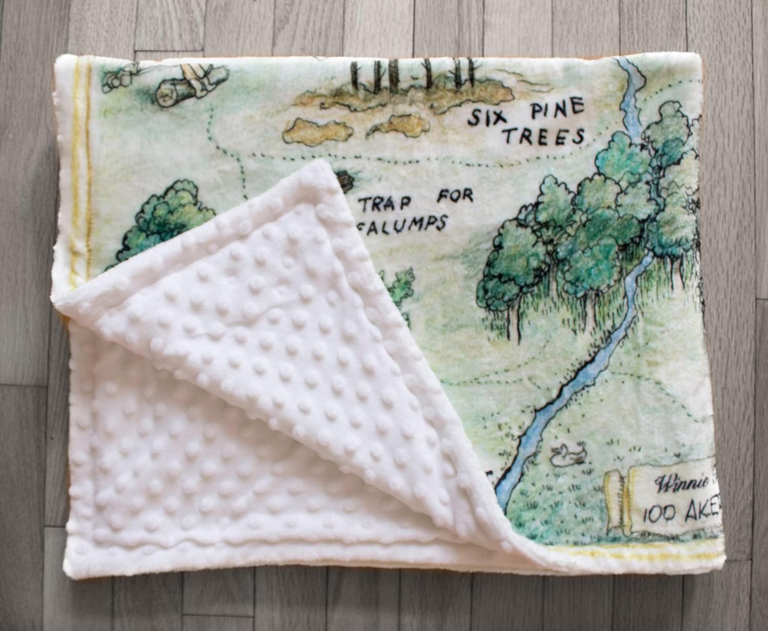Winnie The Pooh 100 Acre Wood Baby Blanket, Minky Minky, Light Blue