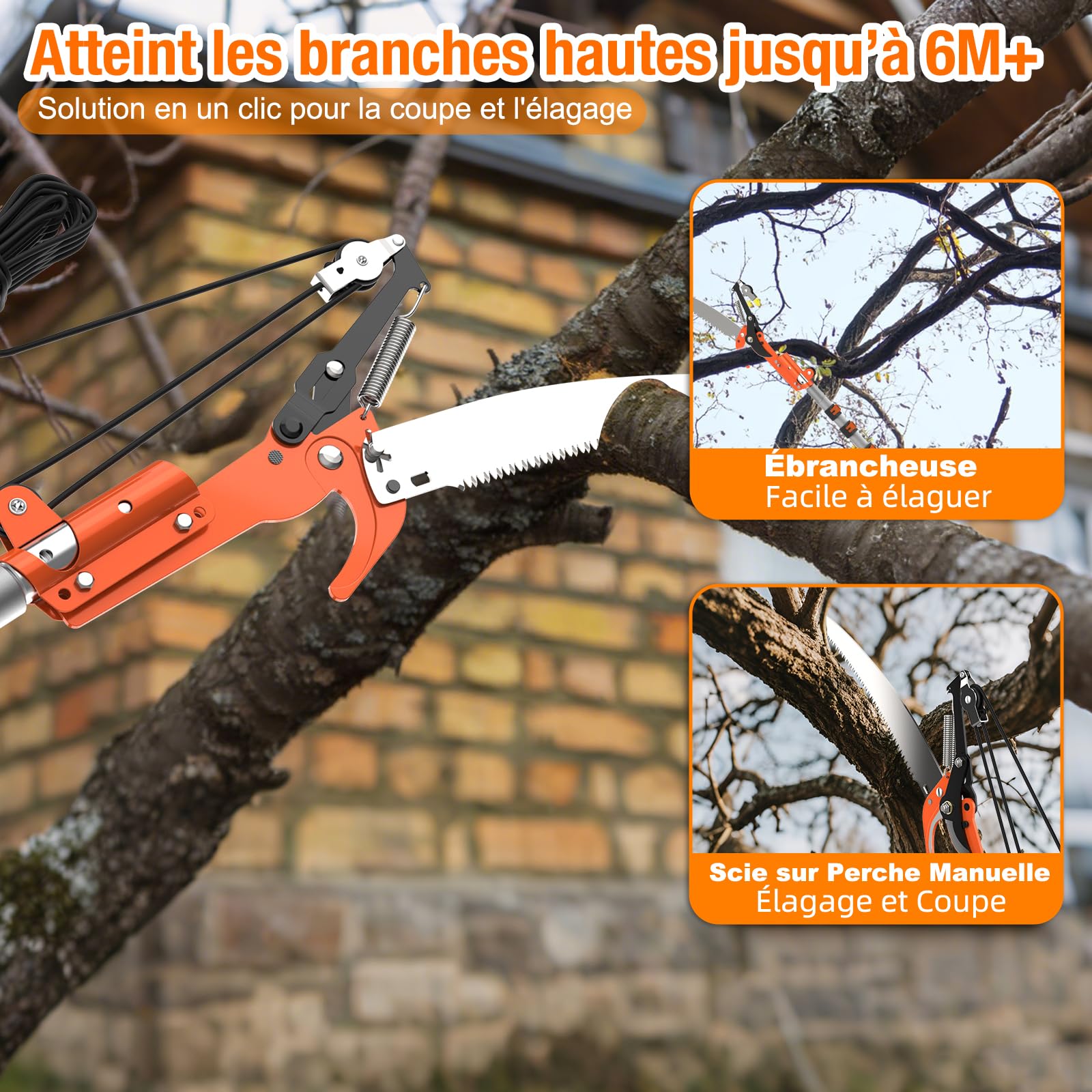 LAANPOLE 6m Scie, Ébrancheur sur Perche Telescopique avec Perche de Extension 1,5-6m, Ébrancheur Manuel pour Jardin