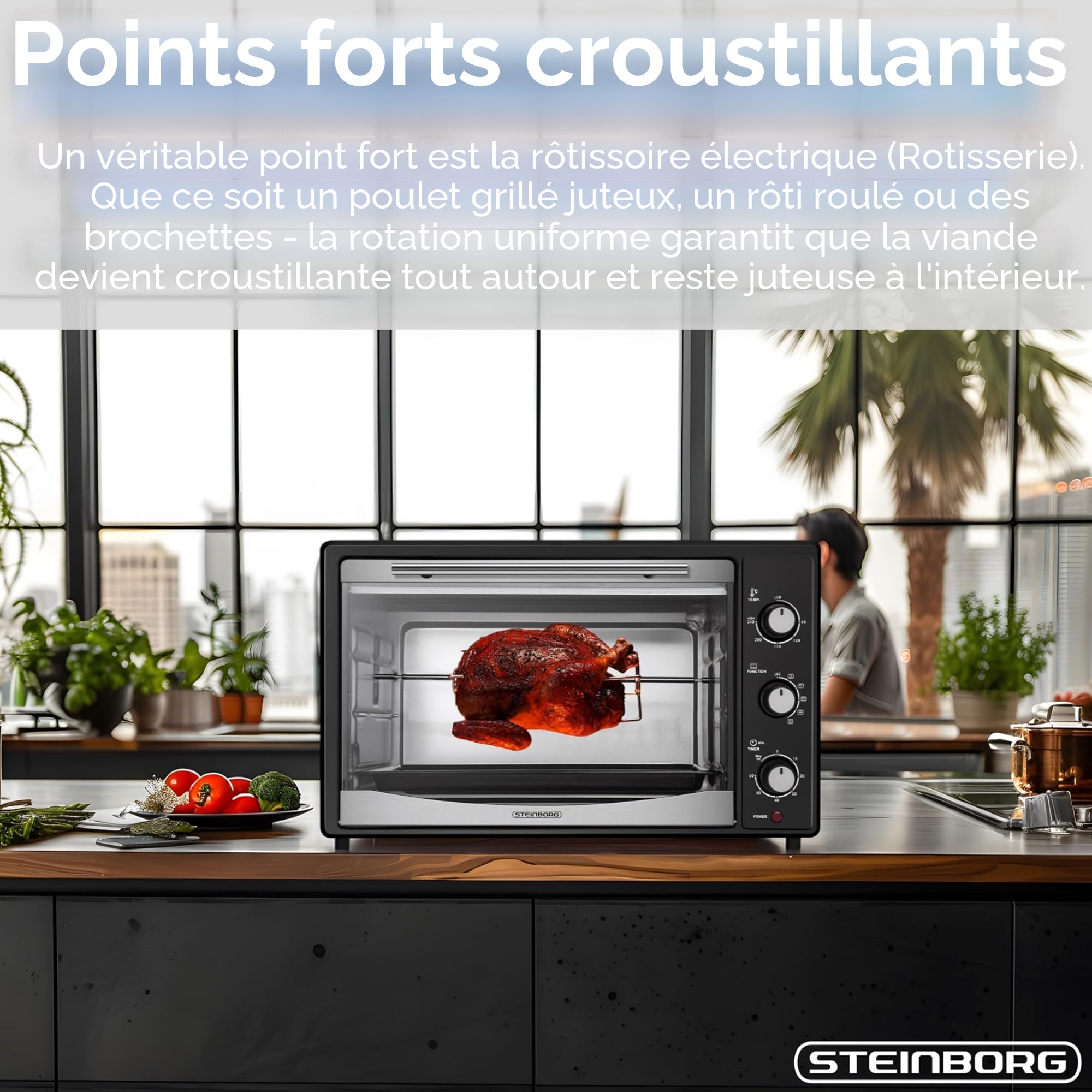Mini four 45 l avec chaleur tournante | Tournebroche électrique | 1800 W | Four à chaleur tournante | Four à pizza | Éclairage intérieur | Avec plaque de cuisson et grille de cuisson | Mini four |