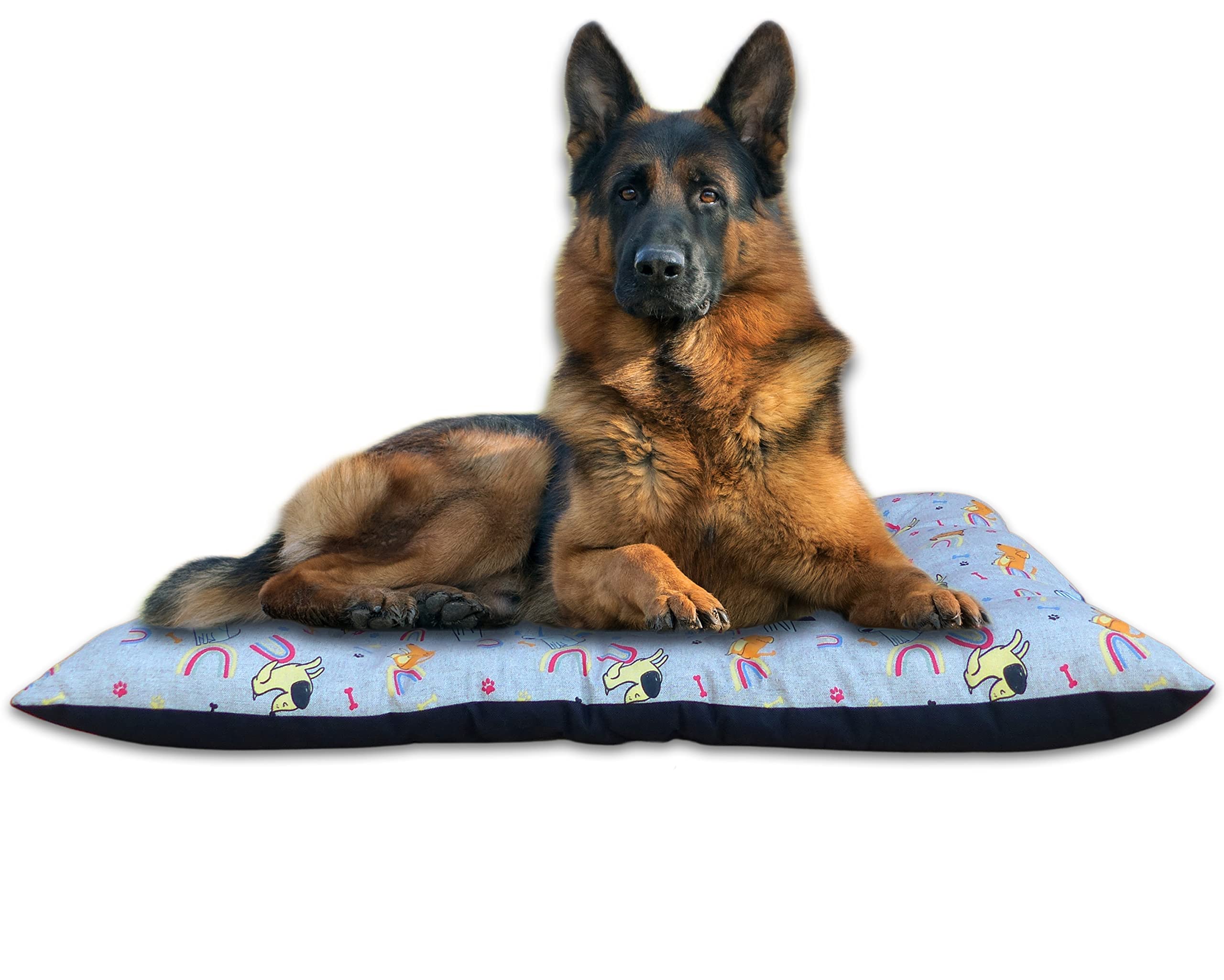 Cama Perro Grande o Mediano - Cojín, Alfombra, Colchón o Colchoneta de Mascota para Suelo, Lavable, 85x65 cm (Large, Arcoiris)