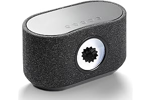 Symbiotic Speaker: A Visual Delight that Harmonizes Music and Technology