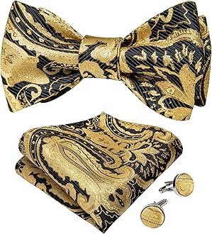 DiBanGu Men Bow Tie Paisley Striped Self-Bow Tie for Men and Silk Woven Bowtie Pocket Square Cufflinks Wedding Party