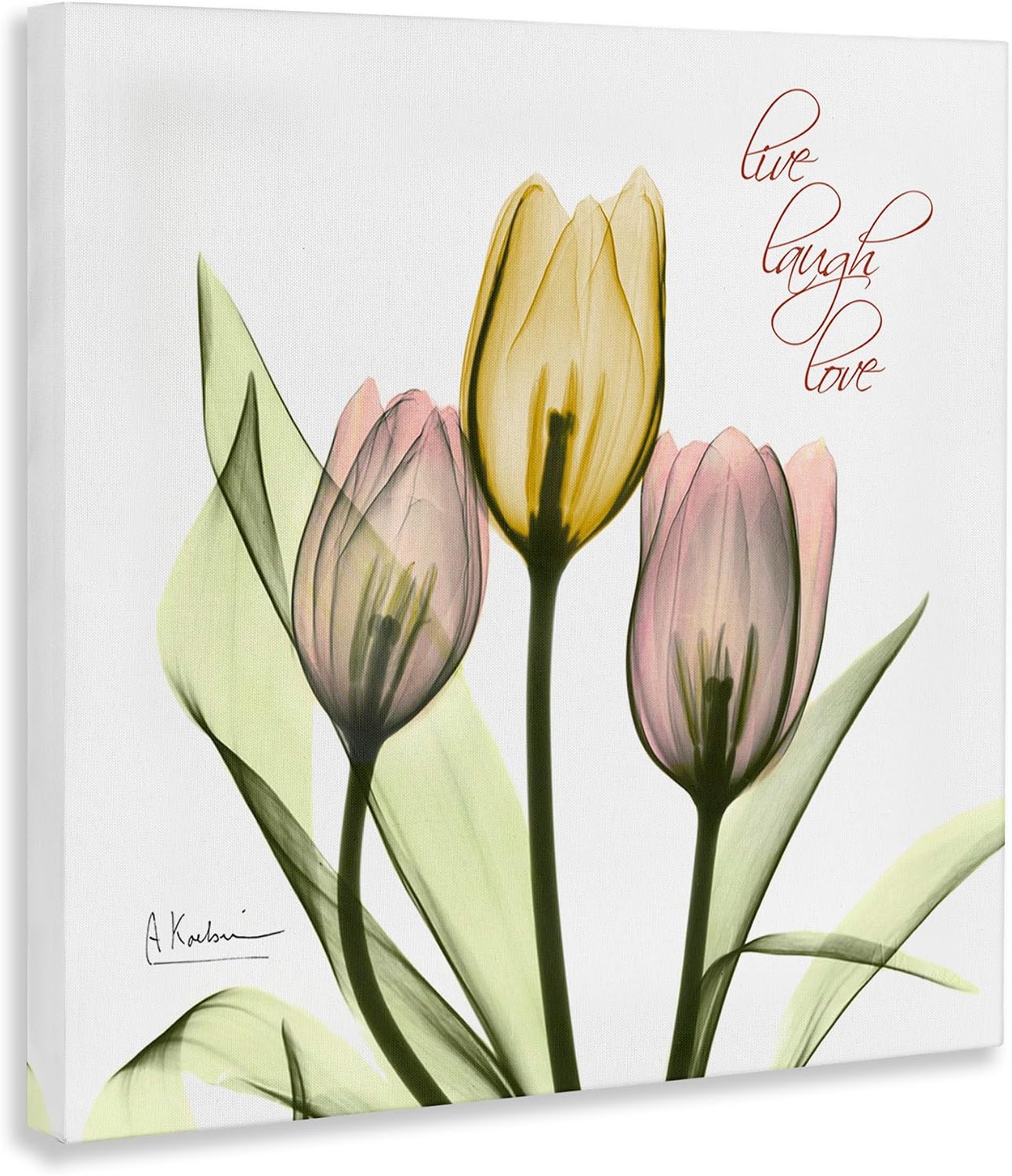 Stupell Industries Live Laugh Love Phrase Yellow Pink Tulip Florals, Design by Albert Koetsier Canvas Wall Art, 24x24, White