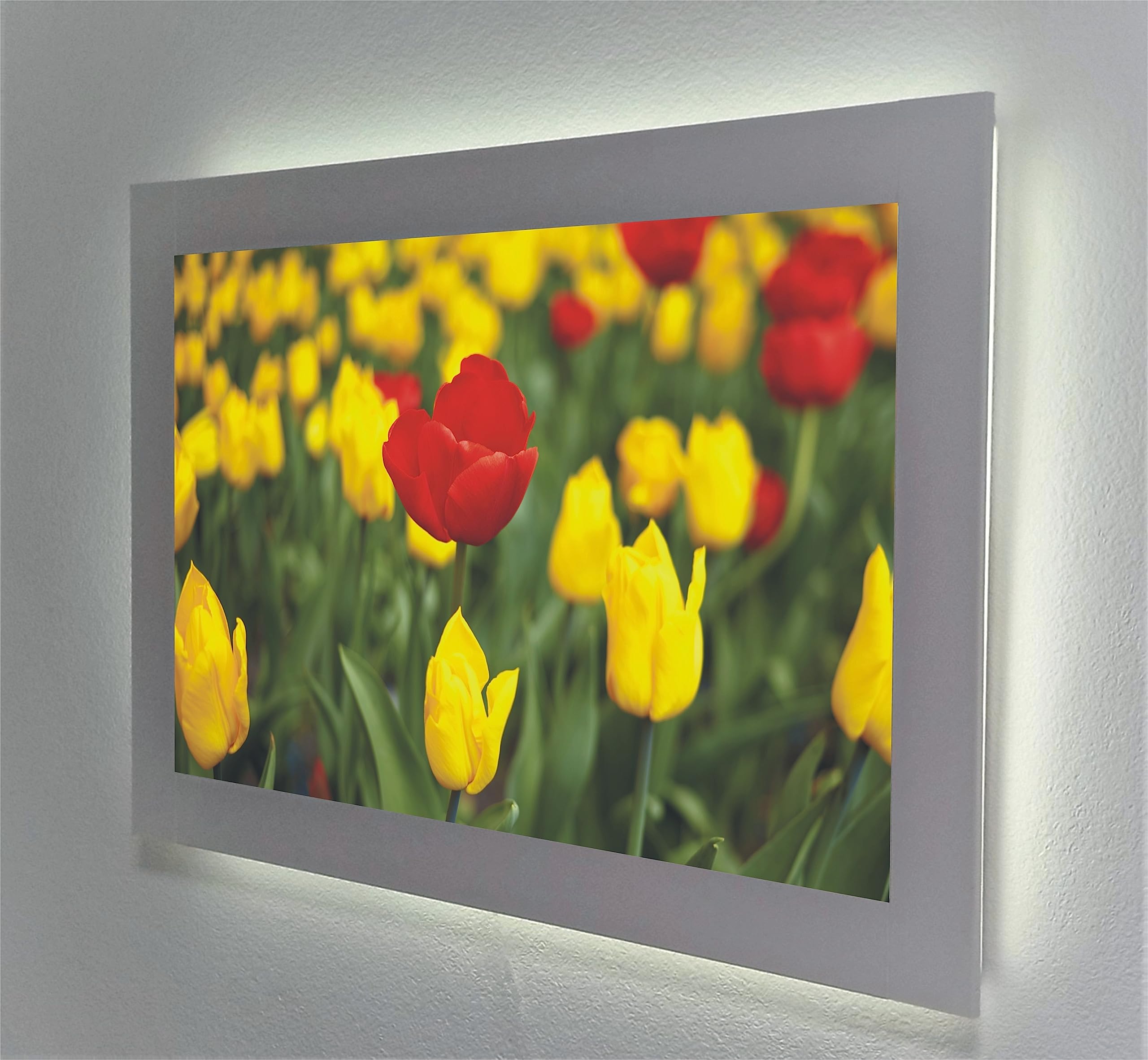 Tableau rétroéclairé tulipes pour créer une ambiance zen au salon