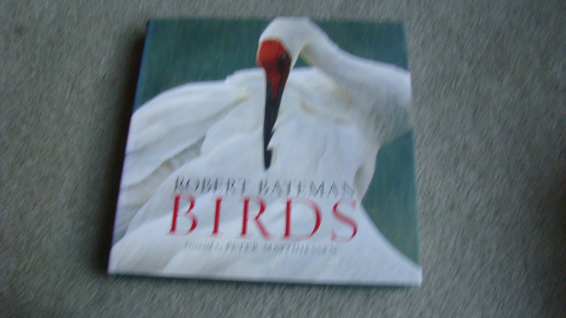 ロバートベイトマン画集【BIRDS】 洋書・野鳥画 Birds: Bateman, Robert: 9780375421822: Books - Amazon.ca