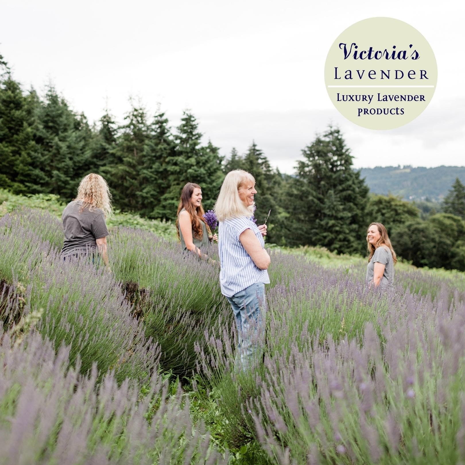 Victoria's Lavender Room Fragrance Spray - Lavender Scent 4 Pack, 4 oz view 4