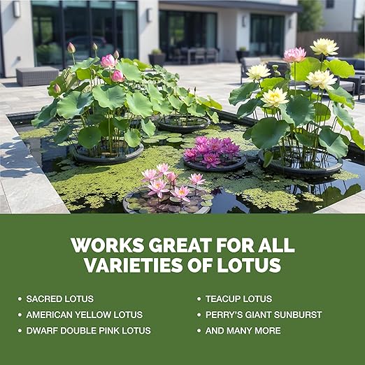 Lotus Fertilizer – Abono Líquido para Plantas Acuáticas 8 oz miniatura 5