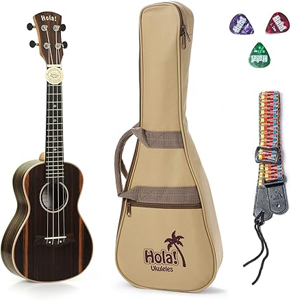concert ukulele bolsa