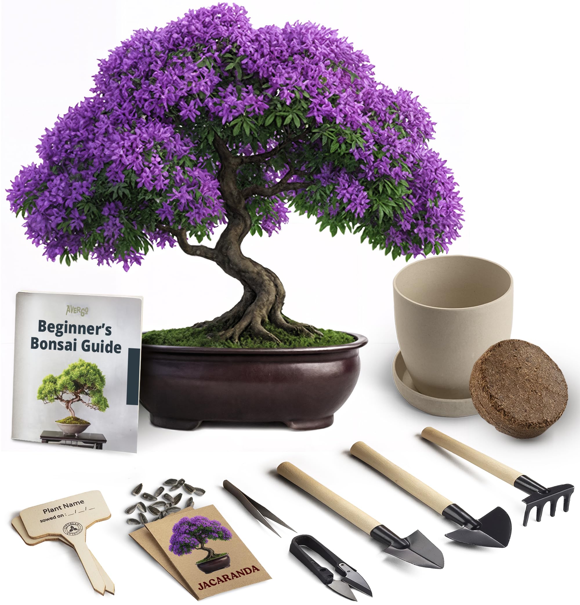 Avergo Bonsai Starter Kit