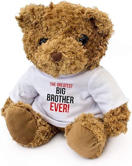 Teddy Bear - Cute Soft Cuddly - Award 