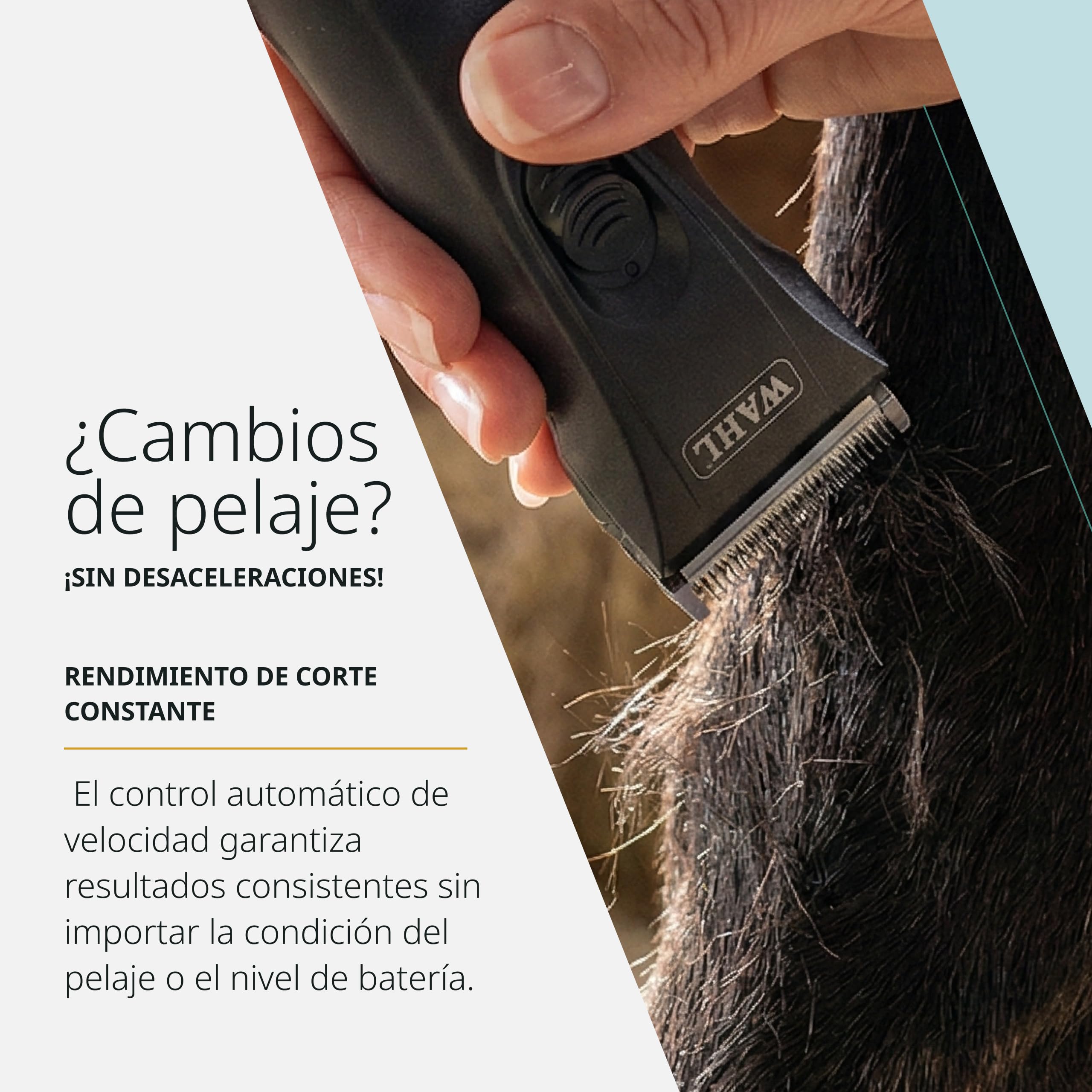 Moser Arco Pro, Cortapelos Inalámbrico para Perros y Gatos | Cortapelos Inalámbrico para Perros y Gatos, Motor Silencioso, 2 Baterías Li-Ion, hasta 120 Minutos, Cuchillas Ajustables