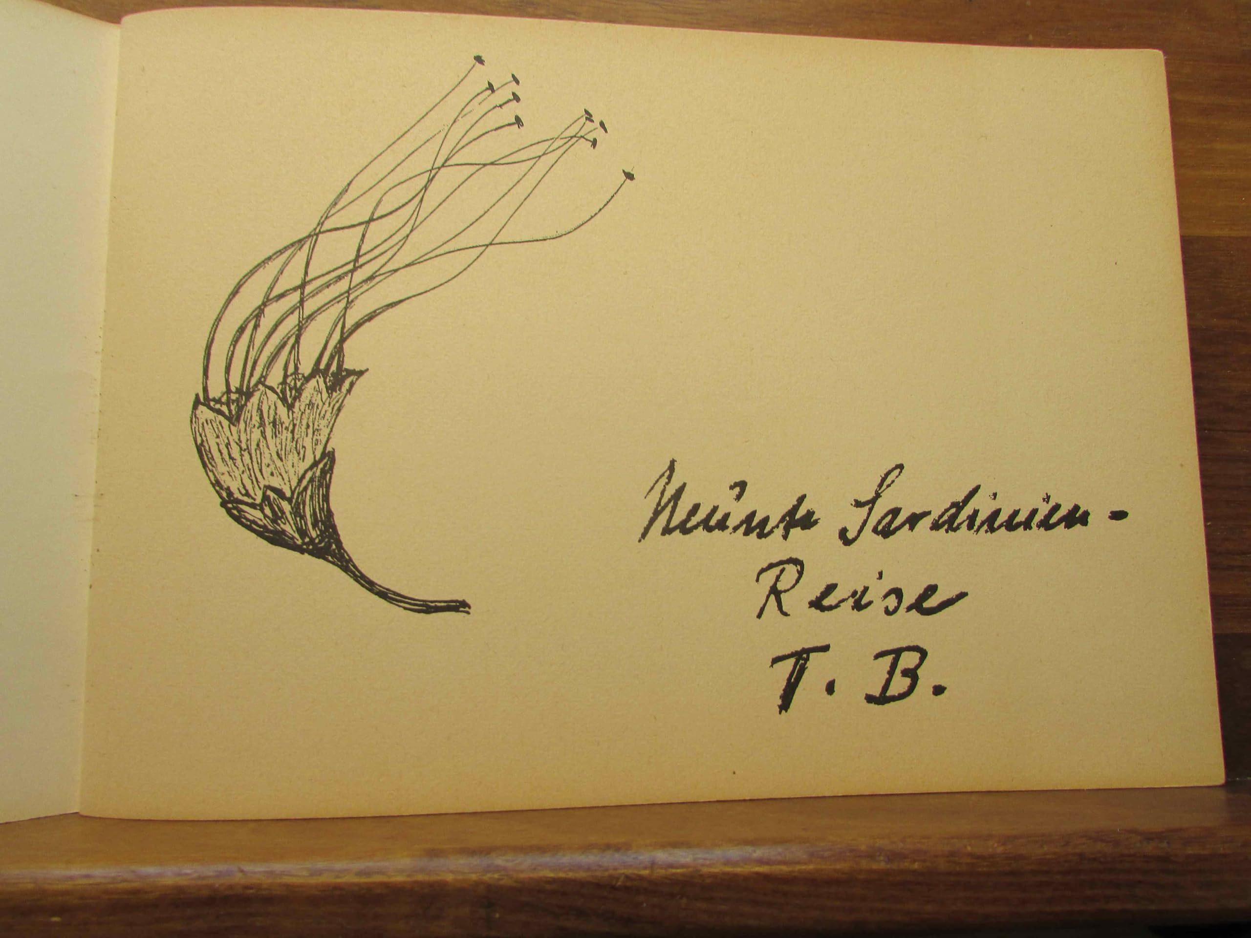 Neunte Sardinien-Reise. T(age). B(uch). (Texte und Zeichnungen aus Ernst Jüngers Tagebuch der Neunten Sardinienreise).