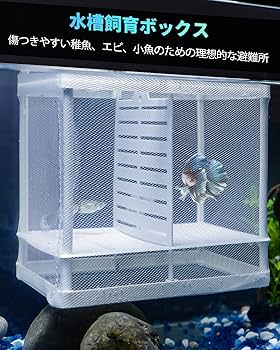 【廃盤 新品未開封】あがた森魚『キットキット‼︎遠く遠く‼︎』8cmシングル 廃盤 新品未開封】あがた森魚『キットキット‼︎遠く遠く‼︎』8cm