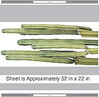 Vista 3 de Calcomanía de pared de cactus Palm Springs