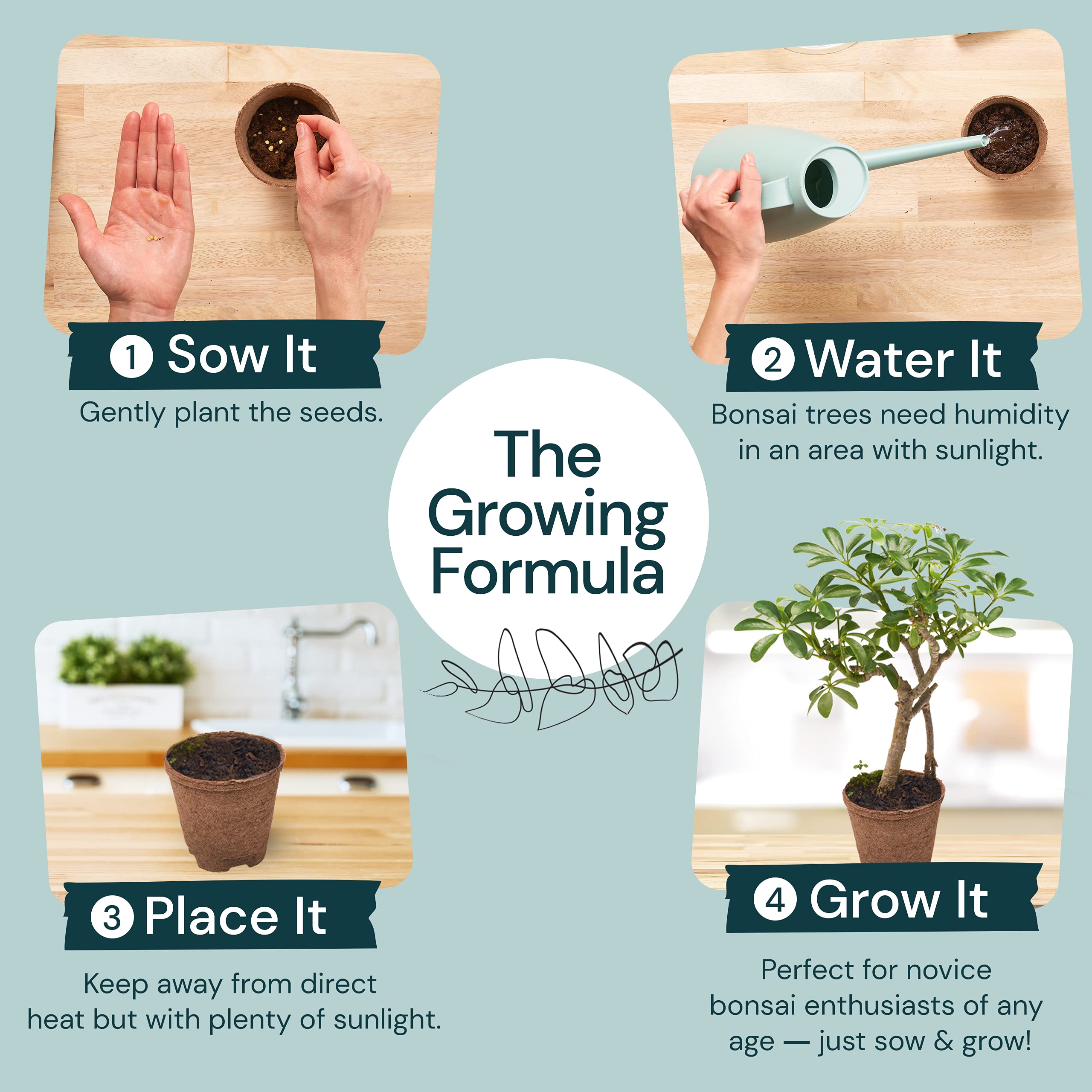 Grow With Growing Kit. Soil, {4 Bonsai Trees Germination Kit} Buy