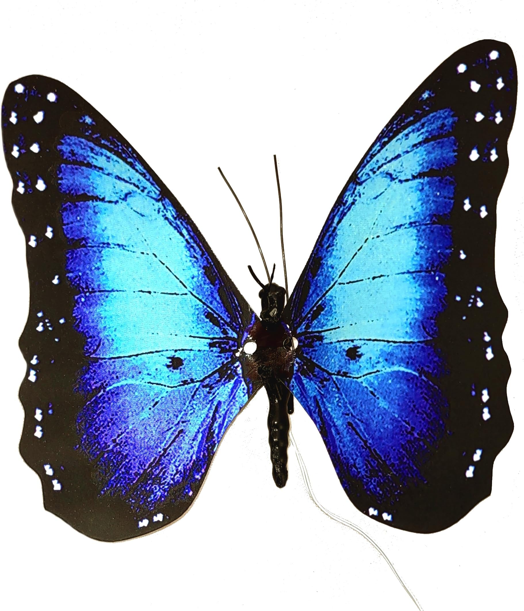 Flexinol Moving Butterfly (Blue Morpho)