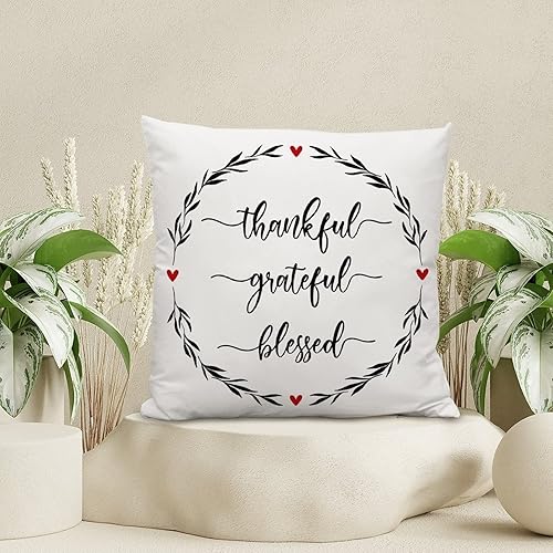 Miniatura 4 de Funda de cojín para el día de San Valentín para mujer, fundas de almohada agradecidas y bendecidas para el día de San Valentín, almohadas de 22 x 22